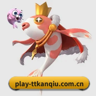 天天看球 APP